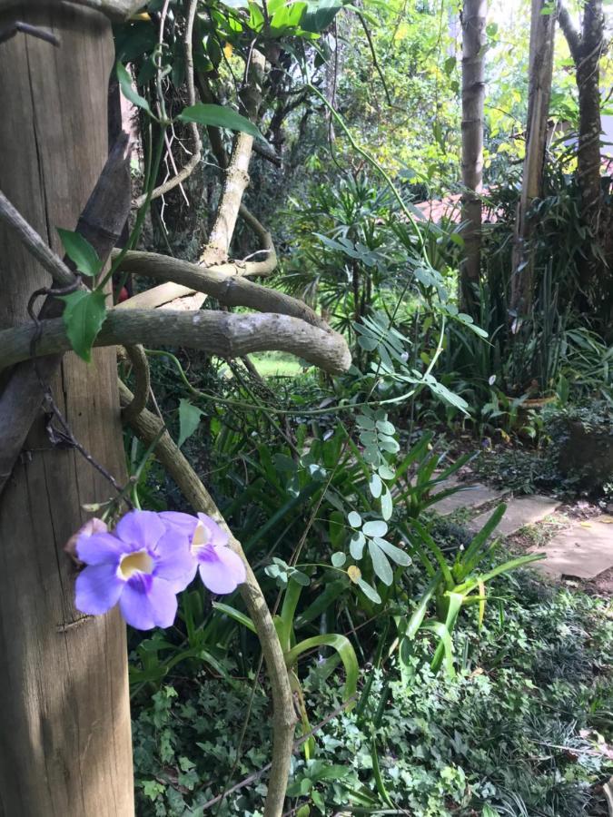 Pousada Flor De Iris São João del Rei Exterior foto